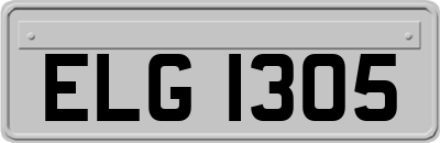 ELG1305
