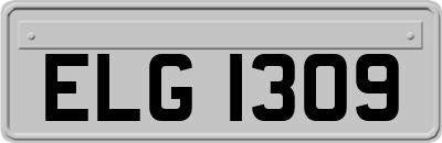 ELG1309
