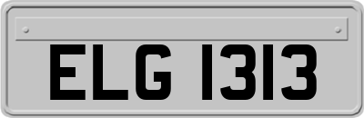 ELG1313