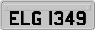 ELG1349