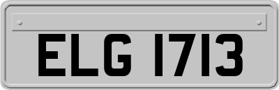 ELG1713