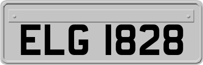 ELG1828