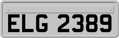 ELG2389