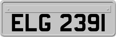 ELG2391