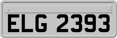ELG2393