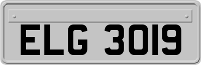 ELG3019