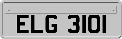 ELG3101