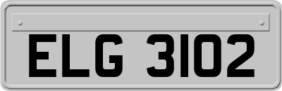 ELG3102