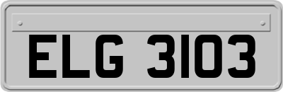ELG3103