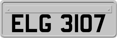 ELG3107