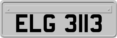 ELG3113
