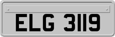 ELG3119