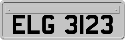 ELG3123