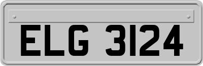 ELG3124