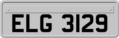 ELG3129