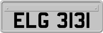 ELG3131