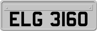 ELG3160