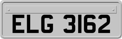 ELG3162