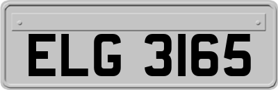 ELG3165