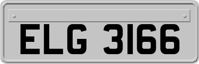 ELG3166