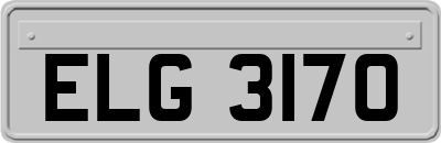 ELG3170