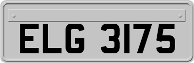 ELG3175