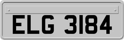 ELG3184