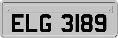 ELG3189