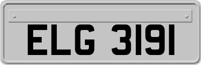 ELG3191