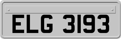 ELG3193