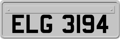 ELG3194
