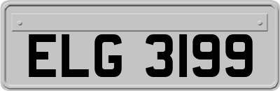 ELG3199