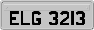 ELG3213