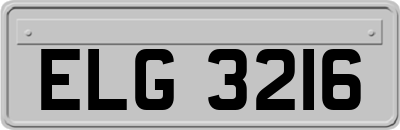 ELG3216
