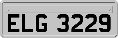 ELG3229