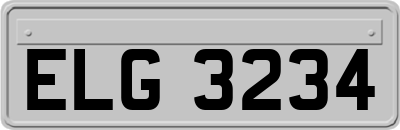 ELG3234