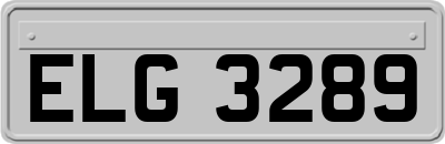 ELG3289