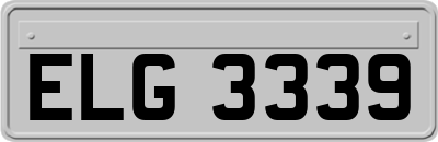 ELG3339