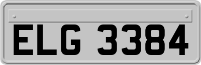 ELG3384