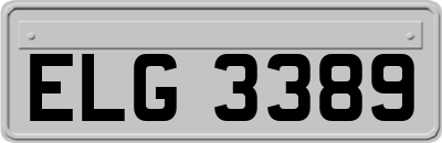 ELG3389