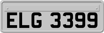 ELG3399