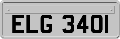 ELG3401