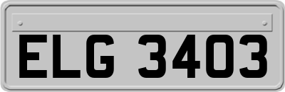 ELG3403