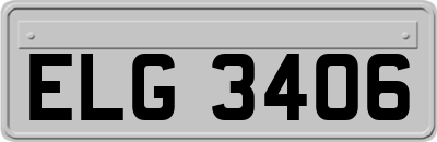 ELG3406