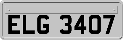 ELG3407