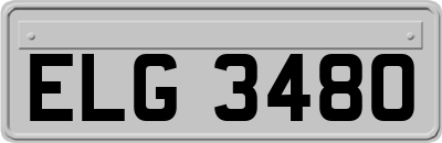 ELG3480
