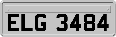 ELG3484