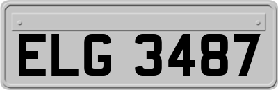 ELG3487