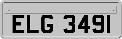 ELG3491