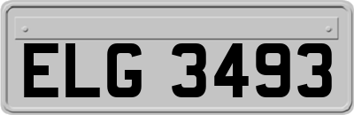 ELG3493
